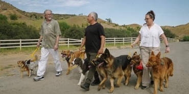 cesar-millan-iyi-insan-iyi-kopek-12-agustos-pazartesi-20-00de-national-geographic-wild-ekranlarinda.jpg