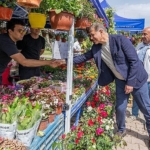 Çiçek gibi İzmir