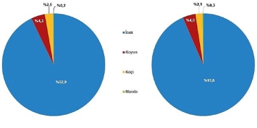 cig-sut-uretim-istatistikleri-2024.jpg