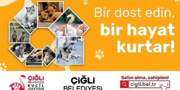 cigli-belediyesinin-sahiplendirme-platformu-hizmete-girdi.jpg