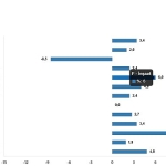 Ciro Endeksleri, Şubat 2025
