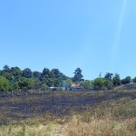 dagyenicede-yangin-sonduruldu.jpg