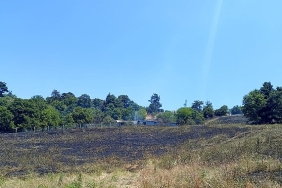 dagyenicede-yangin-sonduruldu.jpg