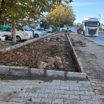 Daha Yeşil Bir Milas İçin Ekipler İlçemizin Dört Bir Yanında Yoğun Çalışmalar Yapıyor