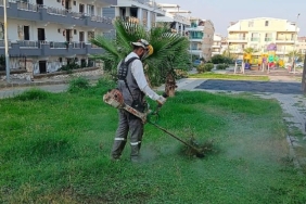 didim-belediyesi-kent-genelinde-ot-bicme-ve-budama-calismalarini-surduruyor.jpg