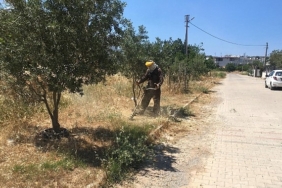 didim-belediyesi-yesil-alanlarda-bakim-calismalarini-surduruyor.jpg