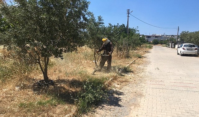 didim-belediyesi-yesil-alanlarda-bakim-calismalarini-surduruyor.jpg