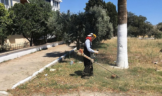 didim-belediyesinden-kente-ozenli-dokunus-kendi-uretimi-cicekler-toprakla-bulusuyor.jpg