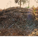 Didim Belediyesi’nden Örnek Proje: Pazar Atıkları Komposta Dönüşüyor