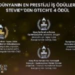 dunyanin-en-prestijli-is-odulleri-stevieden-gteche-4-odul.jpg