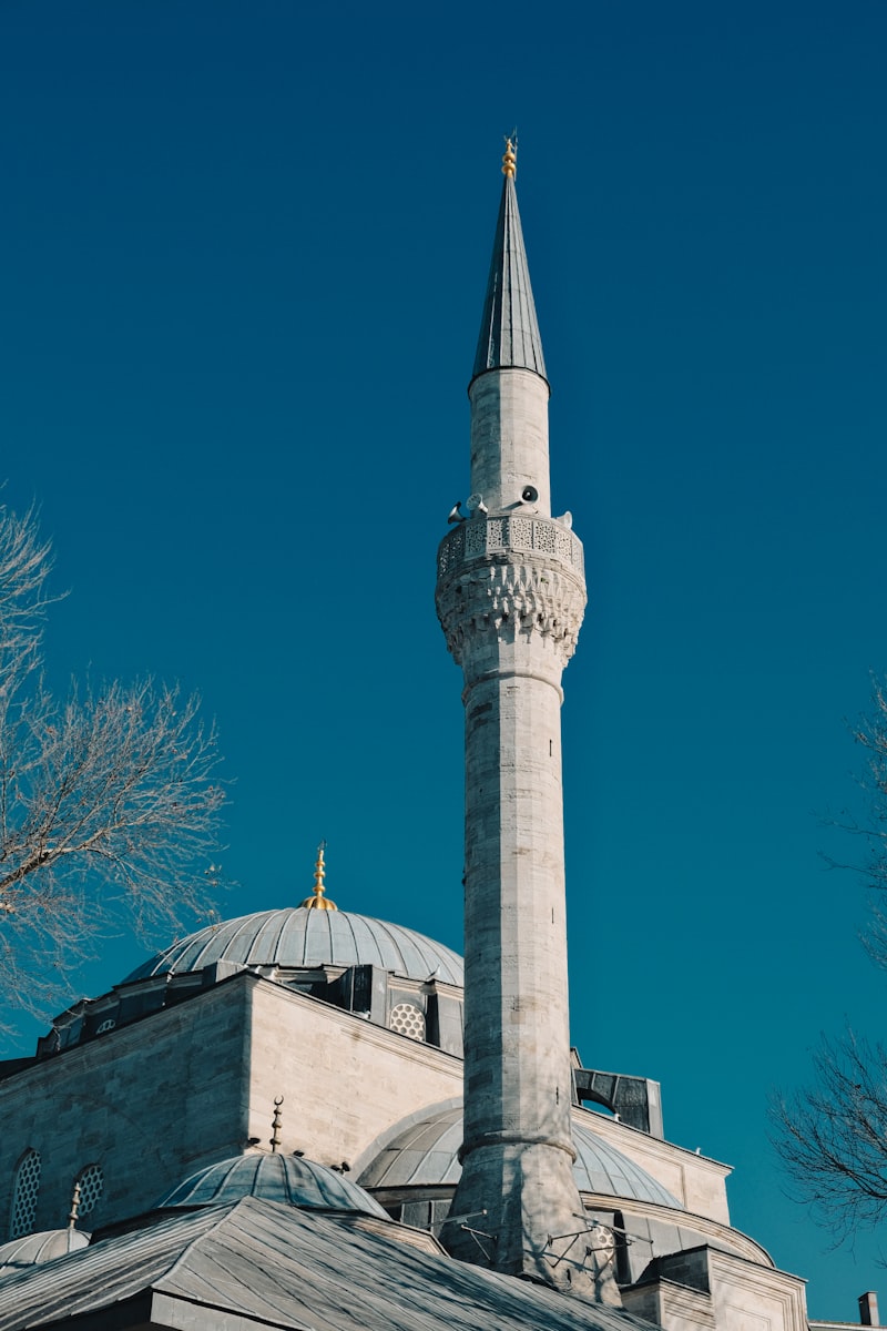 Duvar Dekorasyonu Ürünleri Duvar Dekorasyonu Ürünleri