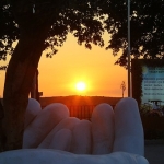 Efes Tarlası Yaşam Köyü, TUI Musement İş Birliği ile Dünyaya Açılıyor