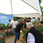 Efes Tarlası Yaşam Köyü’nün Yerel Tohumlardan Üretilen Fideleri Efes Selçuk Halkıyla Buluştu