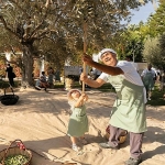 ela-excellence-resort-belek-olive-fest-ile-doganin-kalbinde-essiz-bir-deneyim-sundu.jpg
