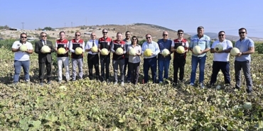 focada-5-geleneksel-kavun-hasat-senligi-coskuyla-kutlandi.jpg