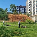 gebze-tatlikuyu-vadisi-kent-parkina-duzenli-bakim.jpg