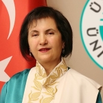 gelecegin-meslekleri-dijitallesme-ve-yapay-zeka-ekseninde-sekilleniyor.jpg