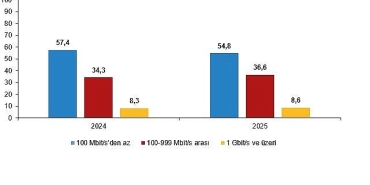 girisimlerde-bilisim-teknolojileri-kullanim-arastirmasi-2025.jpg