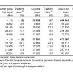Hanehalkı Yurt İçi Turizm, IV. Çeyrek: Ekim-Aralık 2025