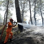 hasat-mevsiminde-orman-yangini-alarmi.jpg