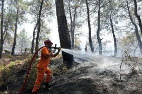 hasat-mevsiminde-orman-yangini-alarmi.jpg