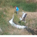 haserelere-karsi-ilaclama-calismalari-suruyor.jpg