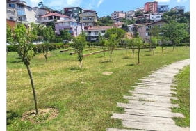 ibb-park-ve-bahcelere-meyve-agaclari-dikiyor.jpg