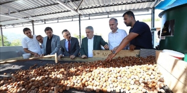 inegolde-hedef-42-bin-ton-ceviz.jpg