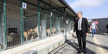 inegolde-sokak-hayvanlari-icin-yeni-adimlar-atiliyor.jpg