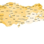 İşgücü İstatistikleri, 2024