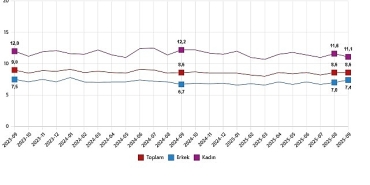 isgucu-istatistikleri-eylul-2025.jpg