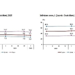 isgucu-istatistikleri-i-ceyrek-ocak-mart-2025.jpg