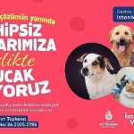 istanbul-vakfindan-sahipsiz-can-dostlarimiza-destek-cagrisi.jpg