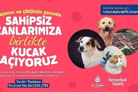 istanbul-vakfindan-sahipsiz-can-dostlarimiza-destek-cagrisi.jpg