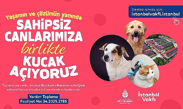 istanbul-vakfindan-sahipsiz-can-dostlarimiza-destek-cagrisi.jpg