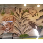 izmirde-su-urunleri-denetimlerinde-ceza-yagdi-yasa-disi-avciliga-gecit-yok.jpg