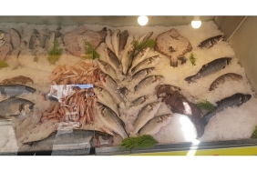 izmirde-su-urunleri-denetimlerinde-ceza-yagdi-yasa-disi-avciliga-gecit-yok.jpg