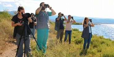 izmit-korfezinin-pembe-susleri-geldi.jpg