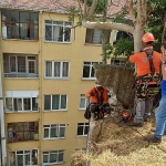 İzmit’te riskli bölgeye güvenlik kalkanı