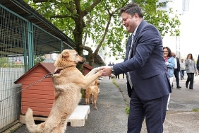 kadikoy-belediyesi-gecici-hayvan-bakimevi-yenilendi.jpg