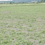 kahramankazanda-saganak-ve-dolu-hayati-felc-etti.jpg