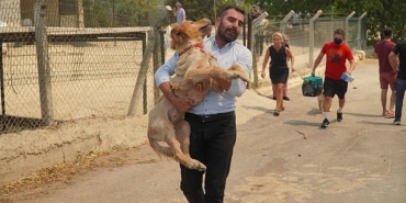 karsiyakanin-cigerleri-yaniyor.jpg