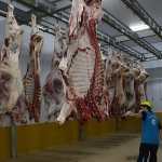 Kasapların tercihi Büyükşehir Mezbahası