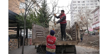keciorende-budama-calismasiyla-yesil-ortu-korunuyor.jpg