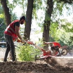 keciorende-park-ve-bahcelere-estetik-dokunus.jpg