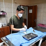 Kemer’de 227 sokak hayvanı kısırlaştırıldı