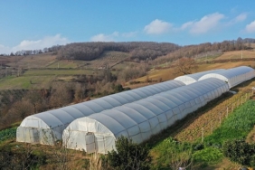 kocaeli-buyuksehir-tarimi-gelecege-tasiyor.jpg
