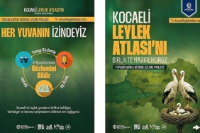 kocaelide-her-yuvanin-izi-surulecek.jpg
