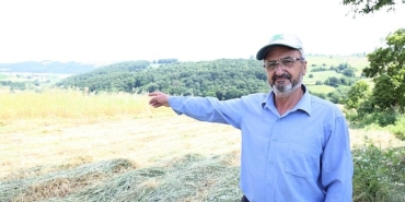 kocaelide-sut-otu-hasadi-basladi.jpg