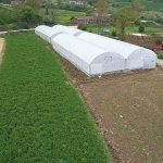 Kocaeli’nde tarım büyüyor, seracılık gelişiyor